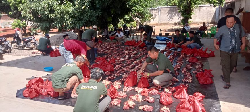 IKAPA Lampung Utara Salurkan 4 Ekor Sapi Qurban di Momen Idul Adha 1446 H